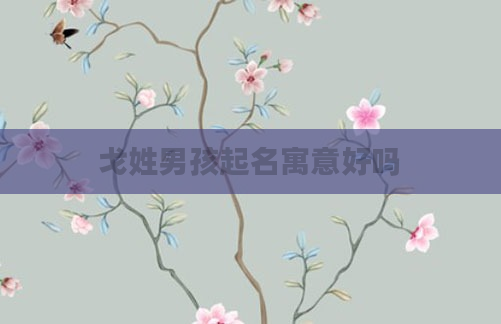 戈姓男孩起名寓意好吗