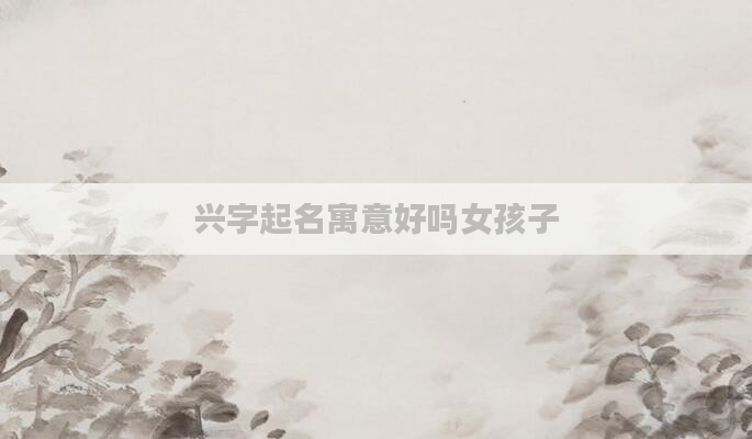 兴字起名寓意好吗女孩子