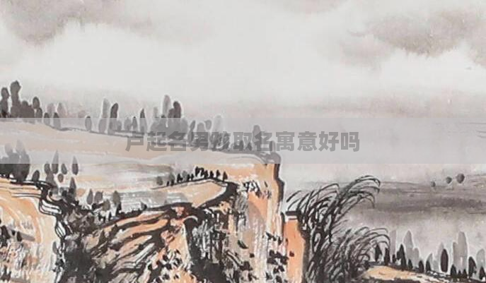 卢起名男孩取名寓意好吗