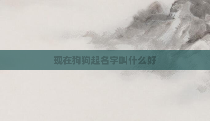 现在狗狗起名字叫什么好