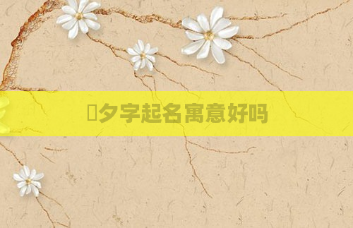 玥夕字起名寓意好吗
