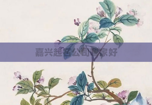 嘉兴起名公司哪家好