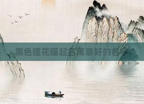 黑色狸花猫起名寓意好的名字