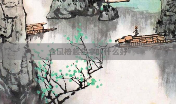 仓鼠椅起名字叫什么好