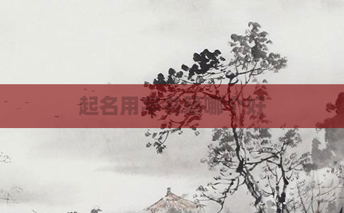 起名用字书籍哪个好