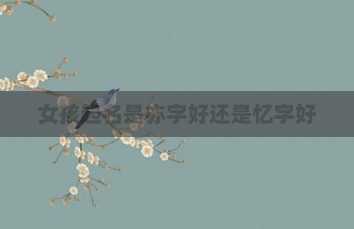 女孩起名是亦字好还是忆字好
