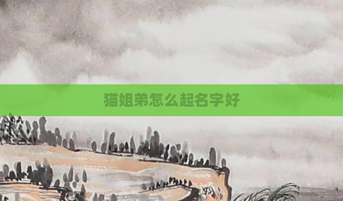 猫姐弟怎么起名字好