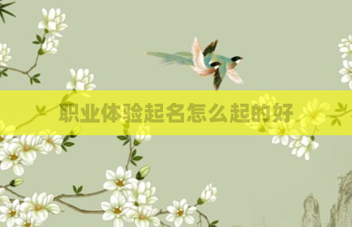 职业体验起名怎么起的好