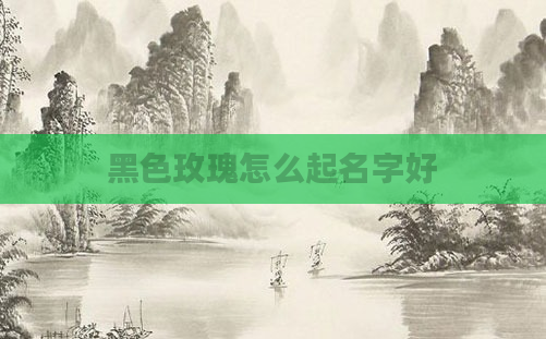 黑色玫瑰怎么起名字好