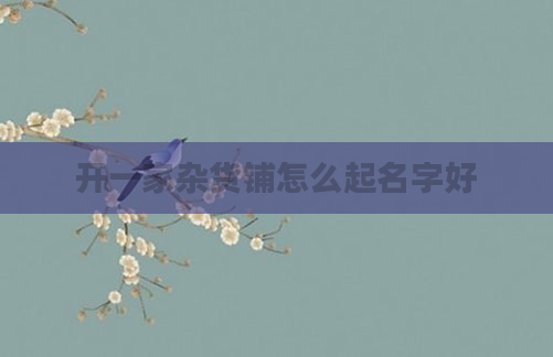 开一家杂货铺怎么起名字好