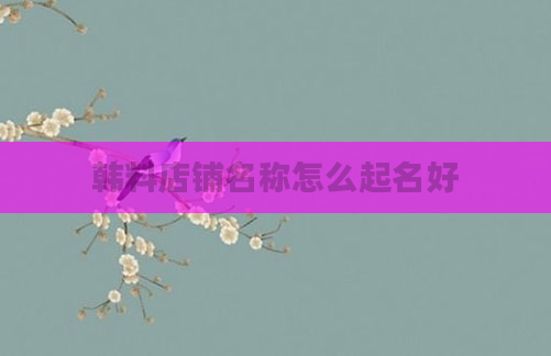 韩料店铺名称怎么起名好