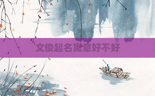 文俊起名寓意好不好