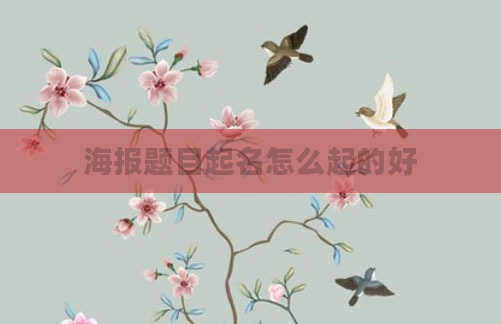海报题目起名怎么起的好