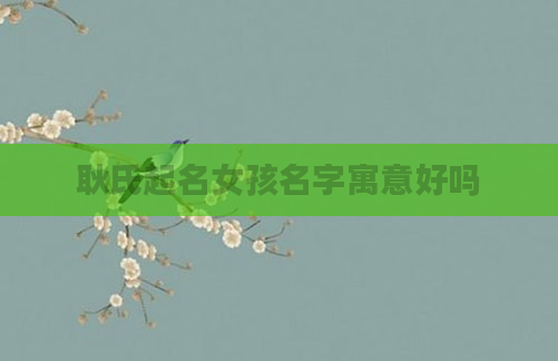 耿氏起名女孩名字寓意好吗