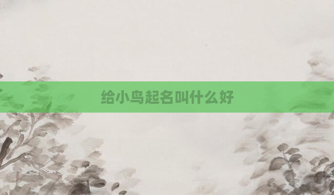 给小鸟起名叫什么好