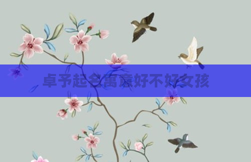 卓予起名寓意好不好女孩