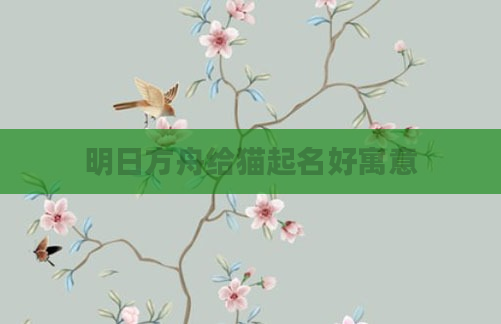 明日方舟给猫起名好寓意
