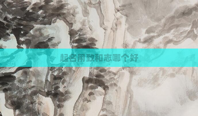 起名用致和志哪个好