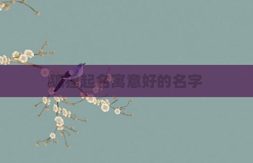 狐狸起名寓意好的名字