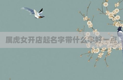 属虎女开店起名字带什么字好一点