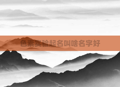 色素实验起名叫啥名字好