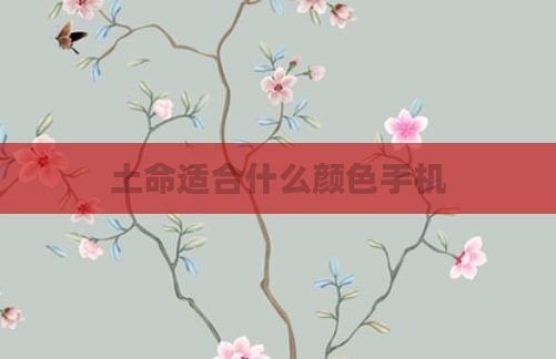 土命适合什么颜色手机