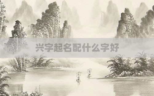 兴字起名配什么字好