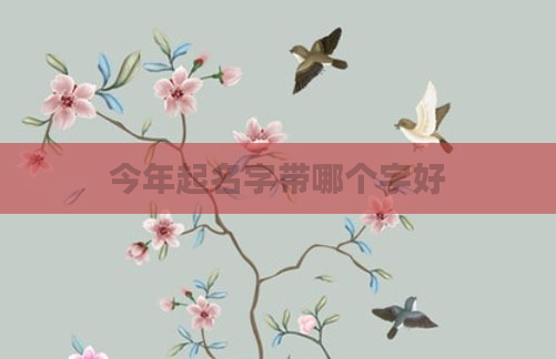 今年起名字带哪个字好