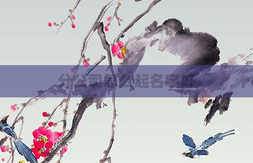 分公司怎么起名字好