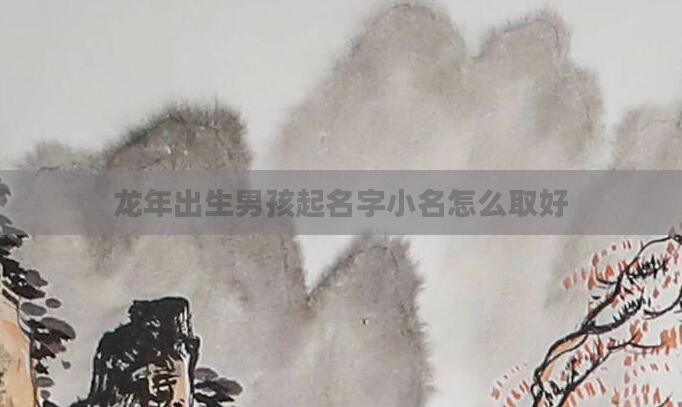 龙年出生男孩起名字小名怎么取好