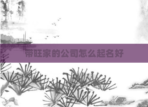 带旺家的公司怎么起名好