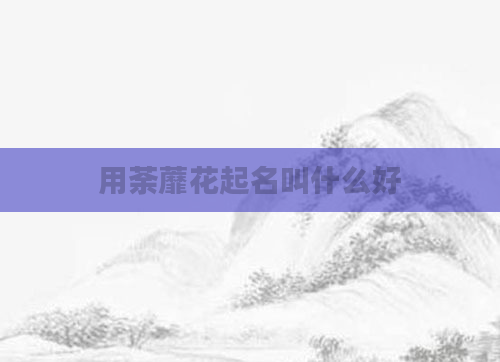用荼蘼花起名叫什么好