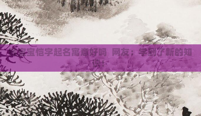 猴宝宝恺字起名寓意好吗  网友：学到了新的知识！