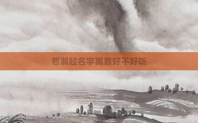 哲瀚起名字寓意好不好听
