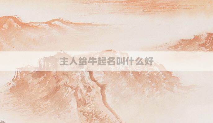 主人给牛起名叫什么好