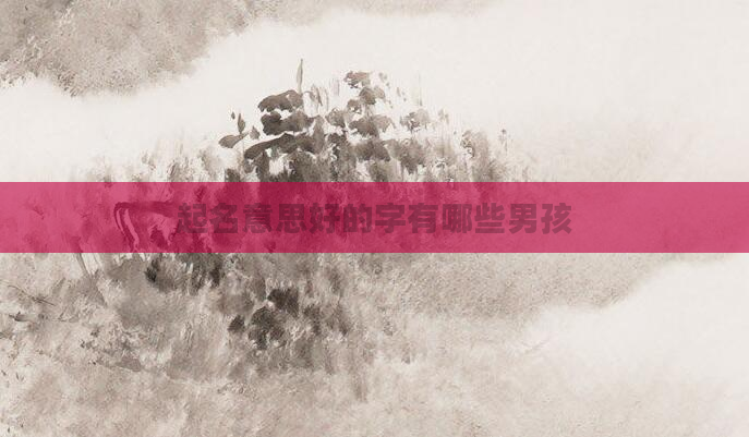 起名意思好的字有哪些男孩