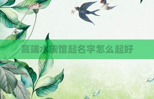 高端水族馆起名字怎么起好