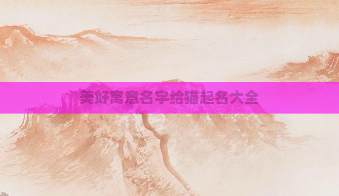 美好寓意名字给猫起名大全