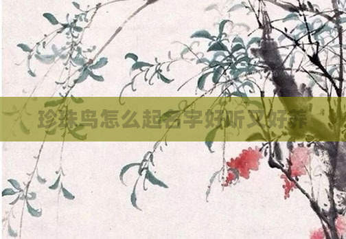 珍珠鸟怎么起名字好听又好养