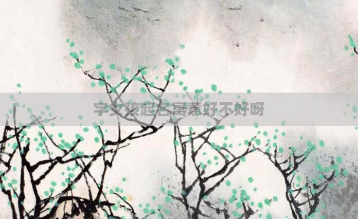 字女孩起名寓意好不好呀