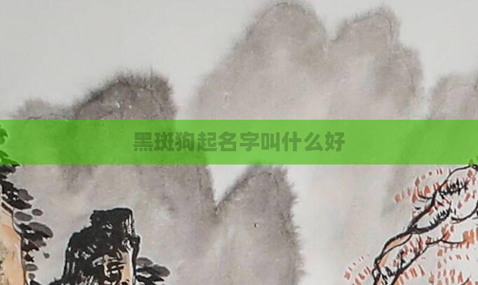 黑斑狗起名字叫什么好