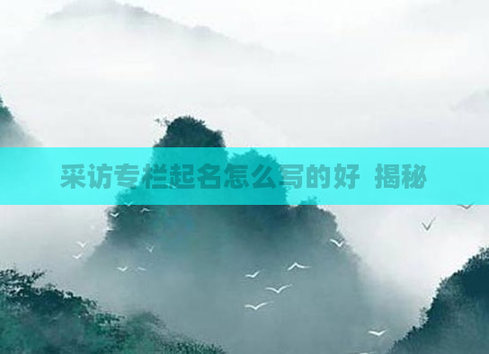 采访专栏起名怎么写的好  揭秘