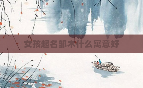 女孩起名邹木什么寓意好