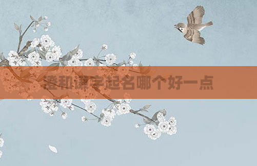 澄和谦字起名哪个好一点