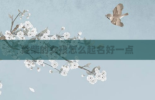 姓柴的女孩怎么起名好一点