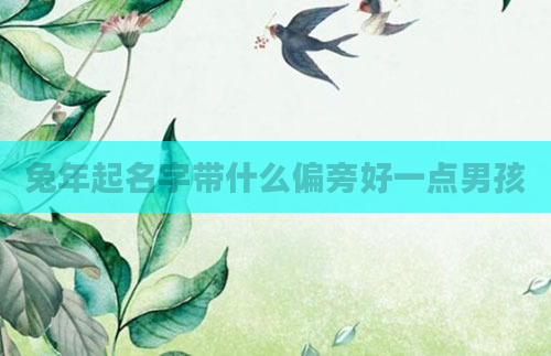 兔年起名字带什么偏旁好一点男孩