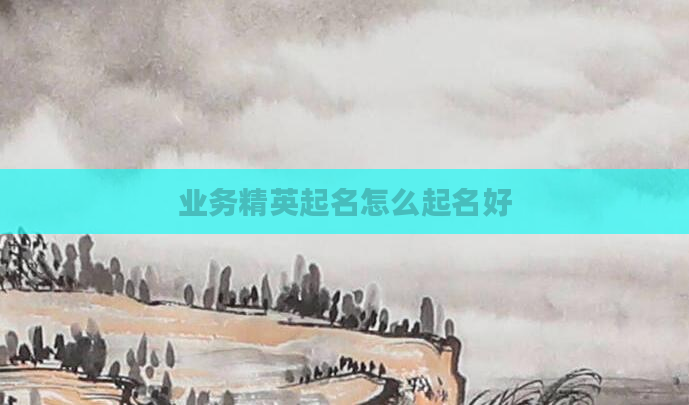 业务精英起名怎么起名好