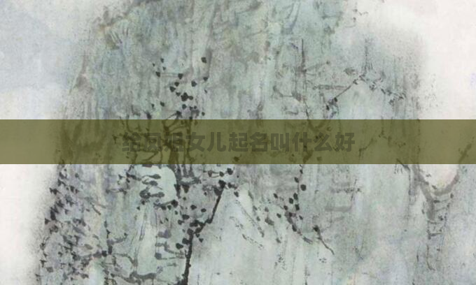 给凤姐女儿起名叫什么好