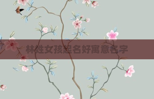 林姓女孩起名好寓意名字