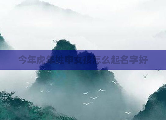 今年虎年姓申女孩怎么起名字好